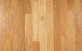 Australian Beech