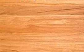 Blackbutt