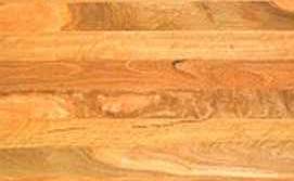 Spotted Gum